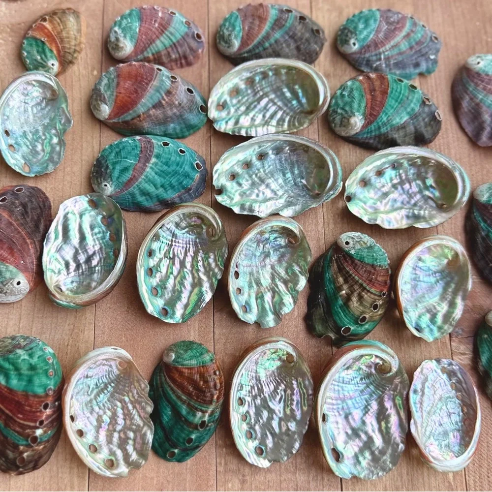 Real ABALONE Shells Polished Nautical DIY Crafting Decor Coastal Mixed Bulk lot